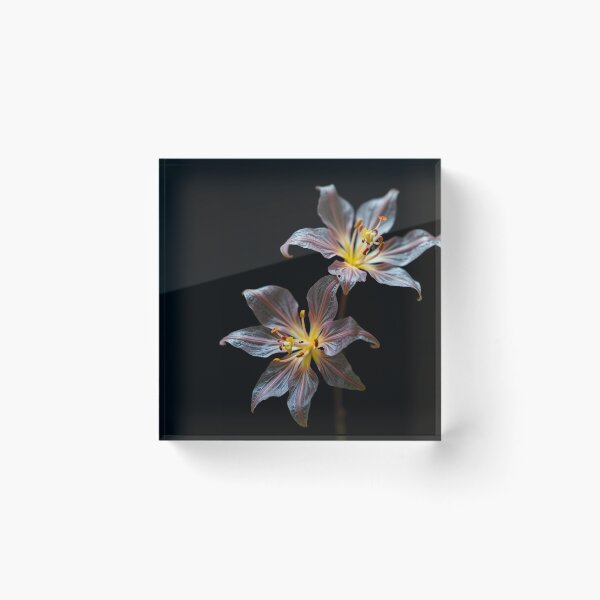 Item preview, Translucent Flowers designed and sold by StudioDestruct.