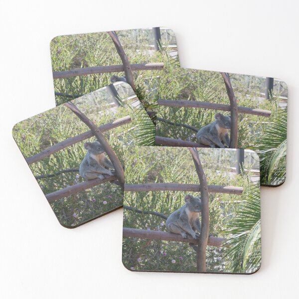 Item preview, Relaxing Koala at San Diego Zoo designed and sold by BadWolfStudios.