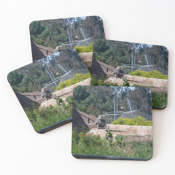 Item preview, Baboon Habitat at San Diego Zoo designed and sold by BadWolfStudios.
