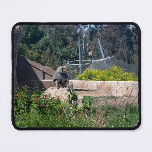 Item preview, Baboon Habitat at San Diego Zoo designed and sold by BadWolfStudios.