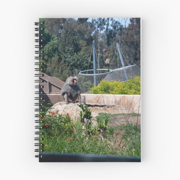 Item preview, Baboon Habitat at San Diego Zoo designed and sold by BadWolfStudios.