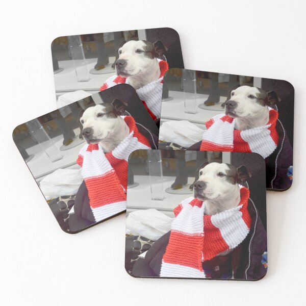 Item preview, Homeless Mans Bestie designed and sold by JonDelorme.