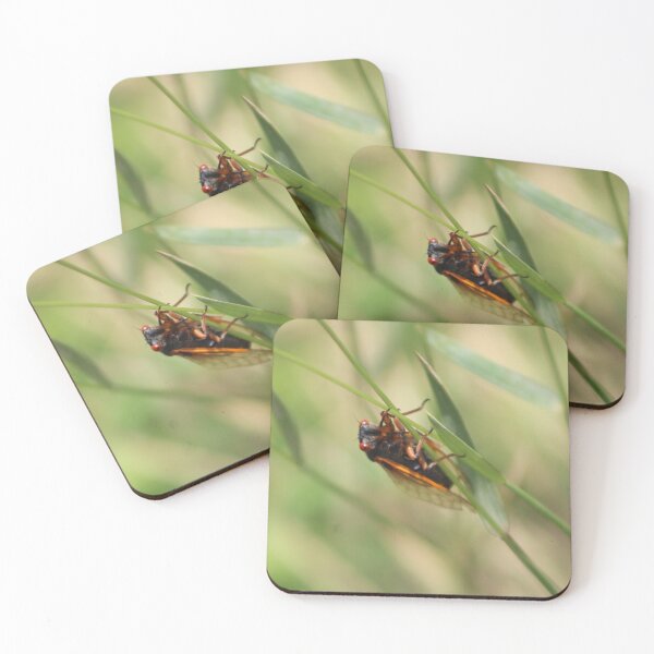 Item preview, Chirping Cicada Photo designed and sold by mackngraphics.