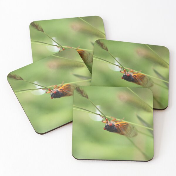 Item preview, Chirping Cicada Tennessee Photo #2 designed and sold by mackngraphics.