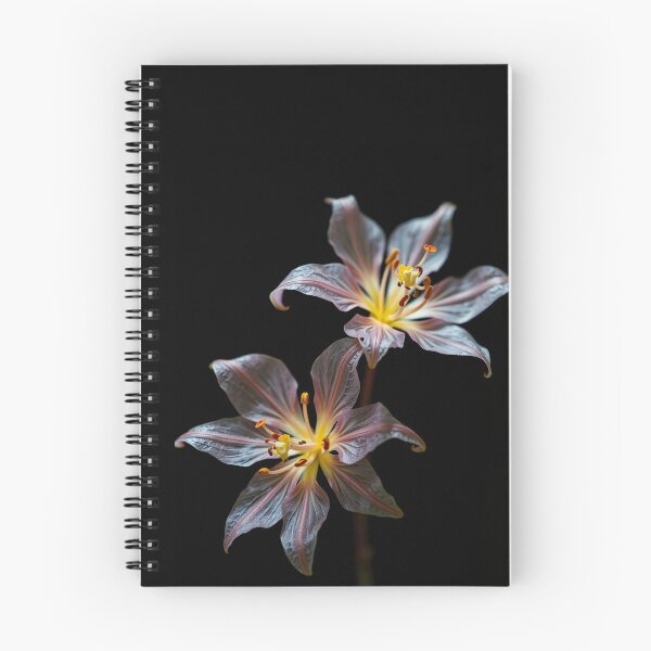 Item preview, Translucent Flowers designed and sold by StudioDestruct.