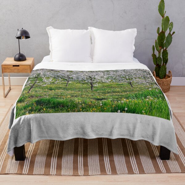Item preview, Blooming cherry trees orchard in spring agriculture designed and sold by goceris.