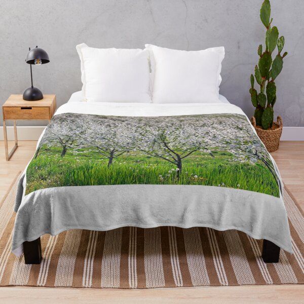 Item preview, Blooming cherry orchard in spring agriculture designed and sold by goceris.
