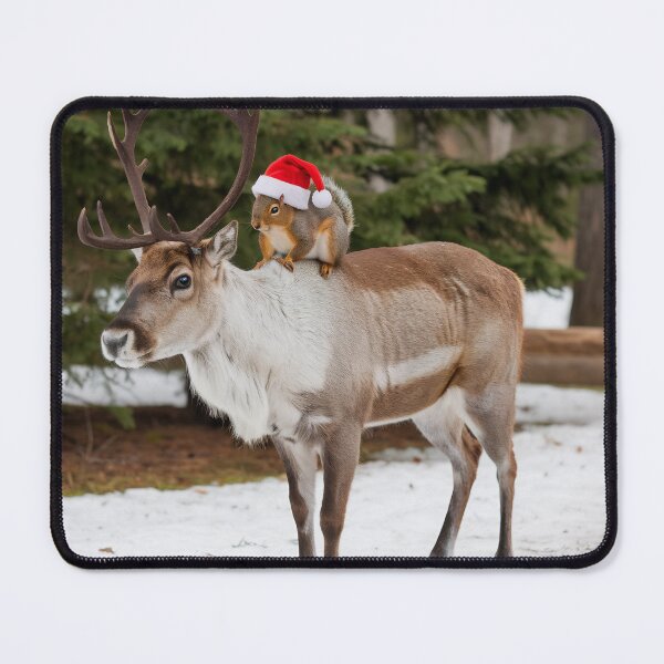 Item preview, Santa Squirrel and the Reindeer designed and sold by Angelandspot.