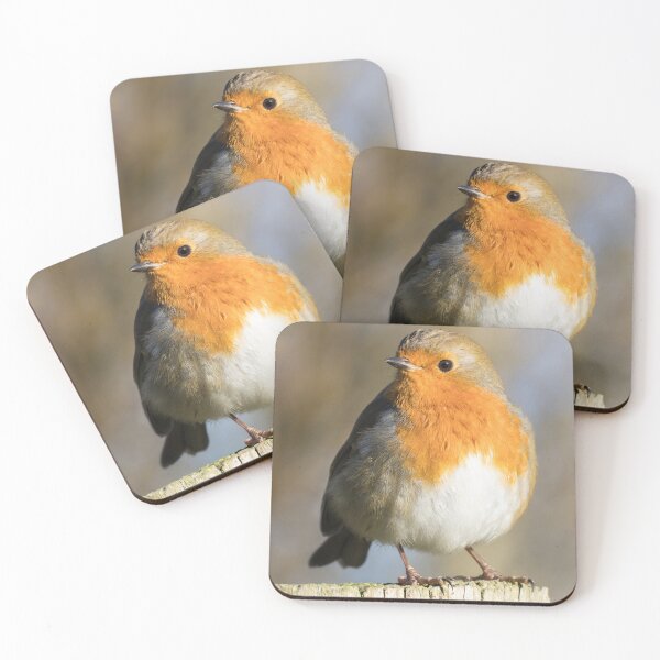 Item preview, Robin designed and sold by LaurenTucker.