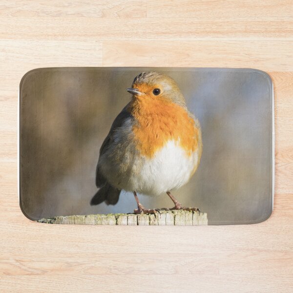 Item preview, Robin designed and sold by LaurenTucker.