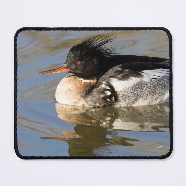 Item preview, Red Breasted Merganser designed and sold by LaurenTucker.