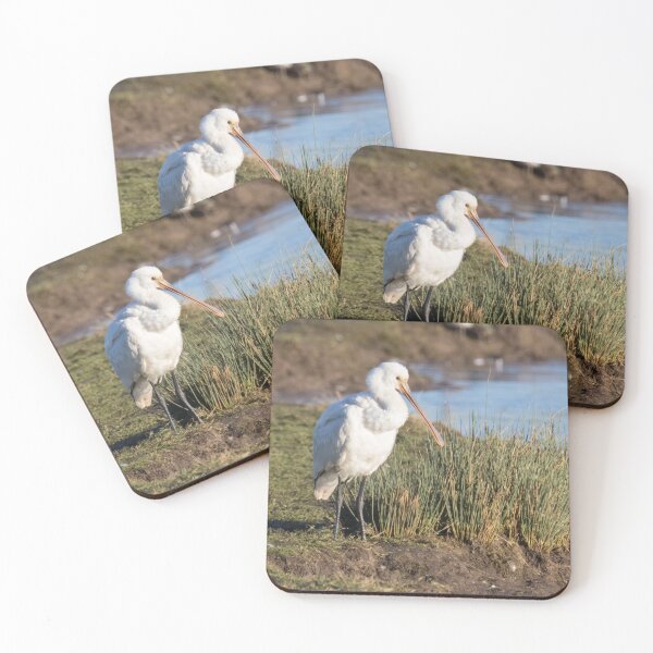Item preview, Spoonbill designed and sold by LaurenTucker.
