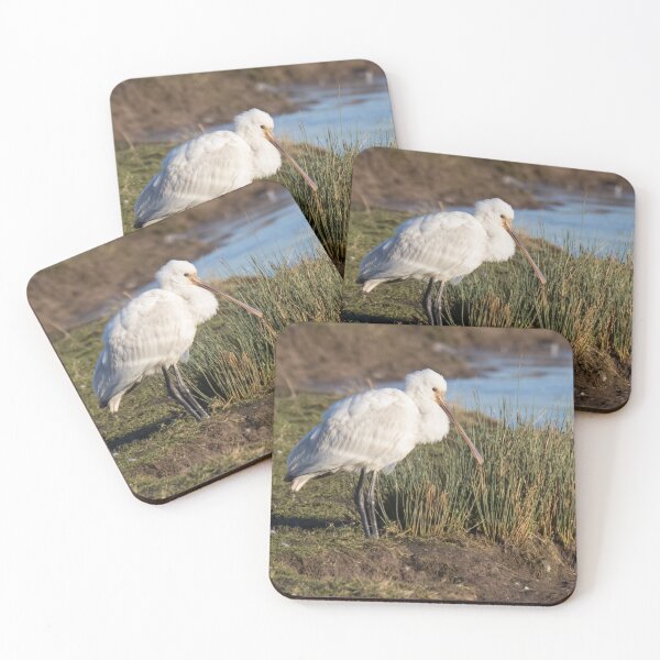 Item preview, Spoonbill designed and sold by LaurenTucker.