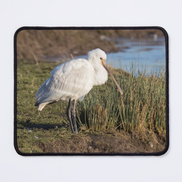 Item preview, Spoonbill designed and sold by LaurenTucker.