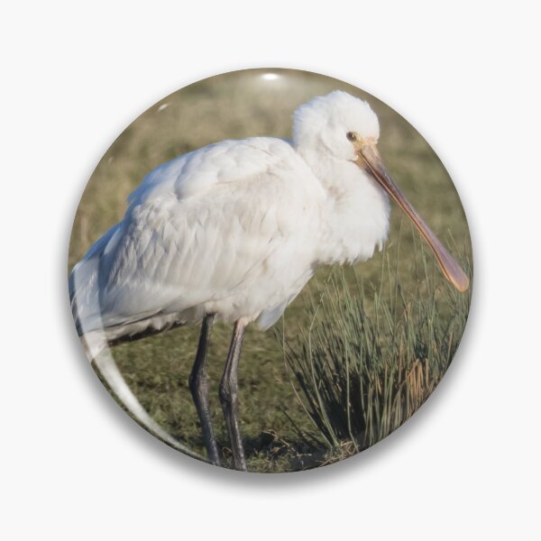 Item preview, Spoonbill designed and sold by LaurenTucker.