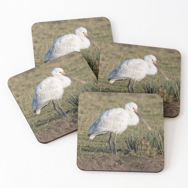 Item preview, Spoonbill designed and sold by LaurenTucker.
