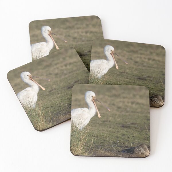 Item preview, Spoonbill designed and sold by LaurenTucker.