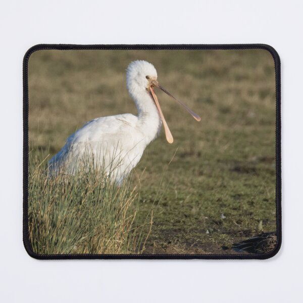 Item preview, Spoonbill designed and sold by LaurenTucker.