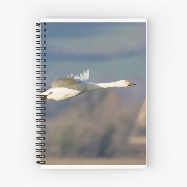 Item preview, Bewick's Swan designed and sold by LaurenTucker.