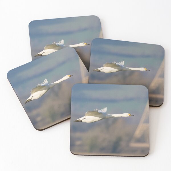 Item preview, Bewick's Swan designed and sold by LaurenTucker.