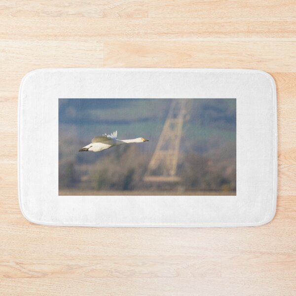 Item preview, Bewick's Swan designed and sold by LaurenTucker.