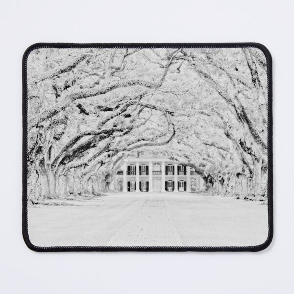 Item preview, A Snowy Oak Alley Plantation designed and sold by Kay Brewer.