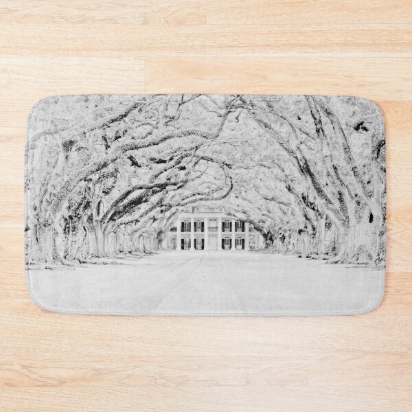 Item preview, A Snowy Oak Alley Plantation designed and sold by Kay Brewer.