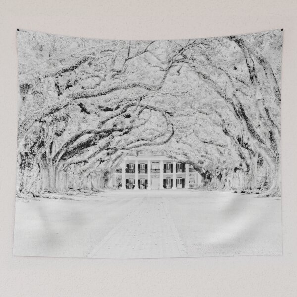 Item preview, A Snowy Oak Alley Plantation designed and sold by Kay Brewer.