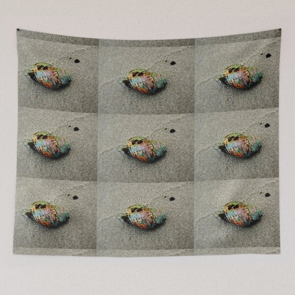 Item preview, Colorful seashell designed and sold by Blissfully-MK.
