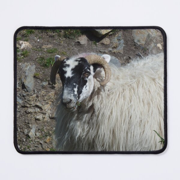 Item preview, sheep in thought designed and sold by KleineChaotin.