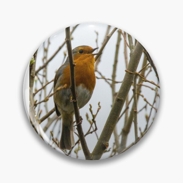 Item preview, Red Breast Robin designed and sold by Wwelby.