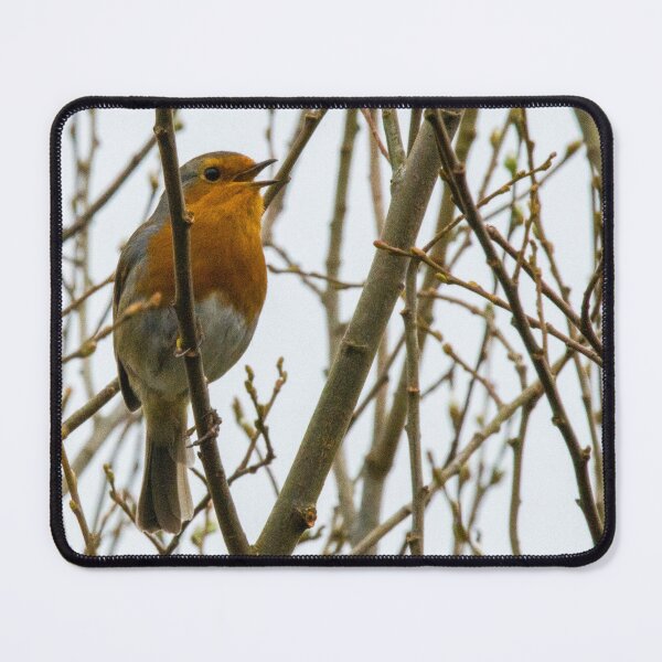 Item preview, Red Breast Robin designed and sold by Wwelby.