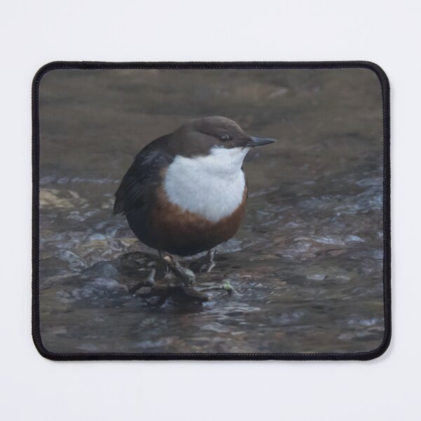 Item preview, Dipper designed and sold by LaurenTucker.