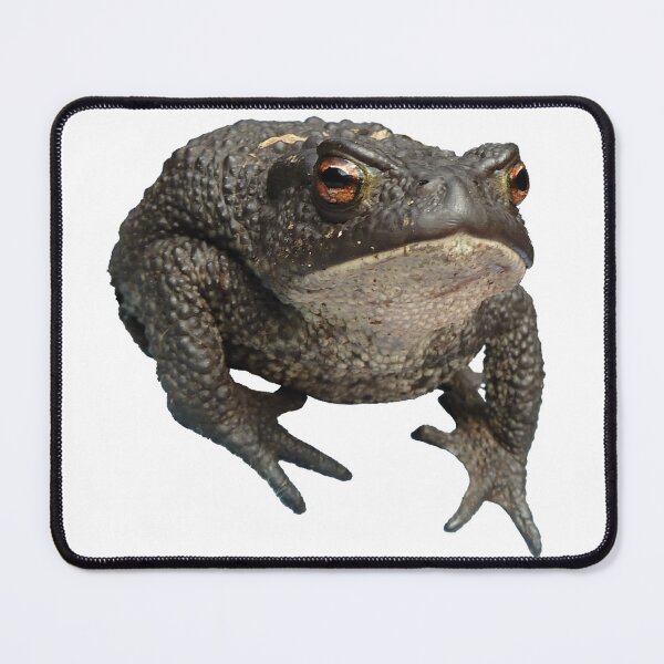Item preview, The Toad designed and sold by KleineChaotin.