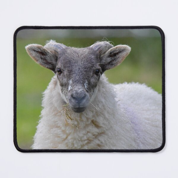 Item preview, Wild sheep designed and sold by Wwelby.