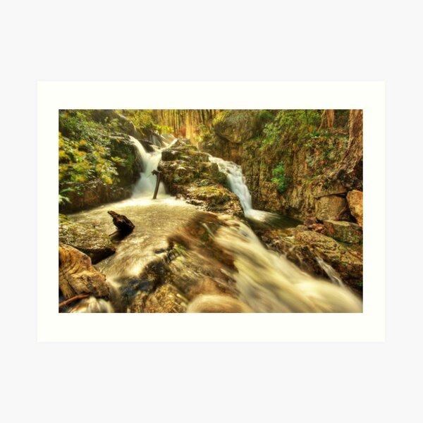Nigothoruk Creek, Alpine NP Art Print