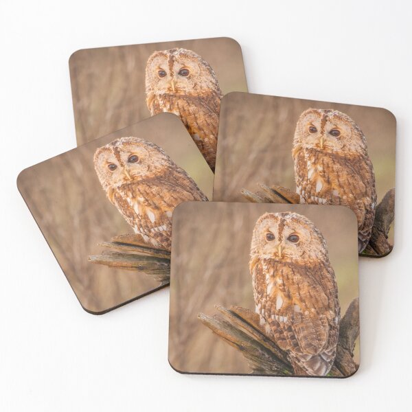 Item preview, Picture of an Owl perched on a log  designed and sold by Grang Art Artistic Designs.