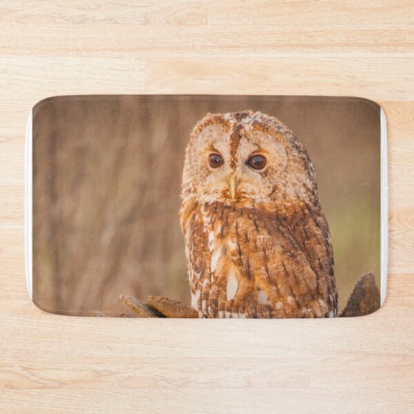 Item preview, Picture of an Owl perched on a log  designed and sold by Grang Art Artistic Designs.