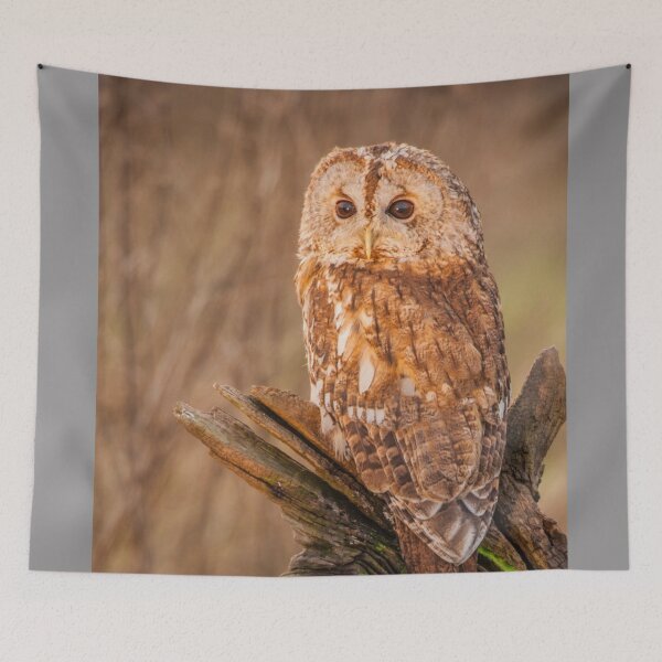 Item preview, Picture of an Owl perched on a log  designed and sold by Grang Art Artistic Designs.