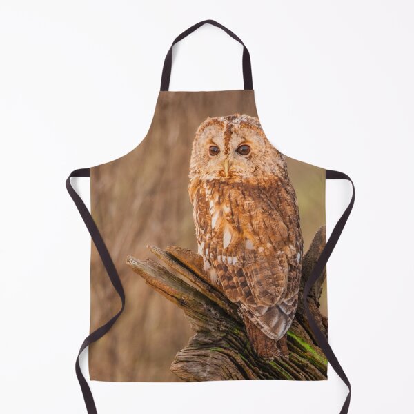 Item preview, Picture of an Owl perched on a log designed and sold by Grang Art Artistic Designs.