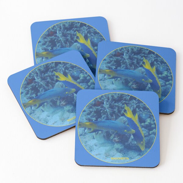 Item preview, Underwater - Spanish Hogfish in Bonaire by Wagonesta  designed and sold by Wagonesta.