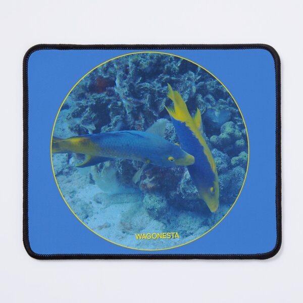 Item preview, Underwater - Spanish Hogfish in Bonaire by Wagonesta designed and sold by Wagonesta.