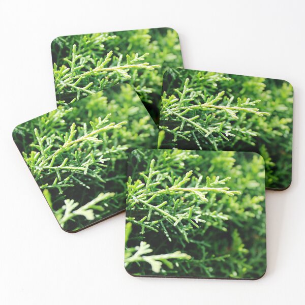 Item preview, Pine Tree designed and sold by Mari-Design-Art.