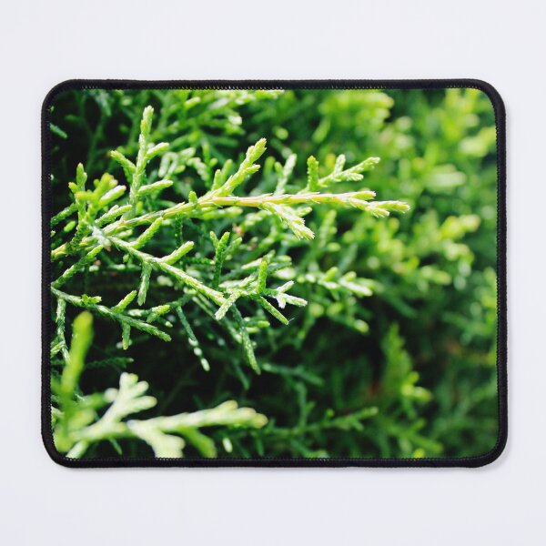 Item preview, Pine Tree designed and sold by Mari-Design-Art.