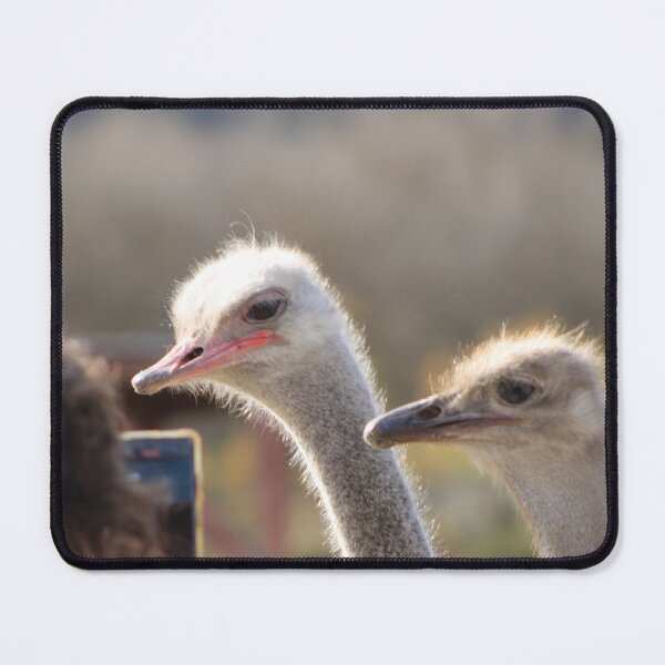 Item preview, Solvang, CA designed and sold by supernova23.