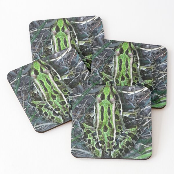 Item preview, Nothern Leopard Frog designed and sold by Valaphe.