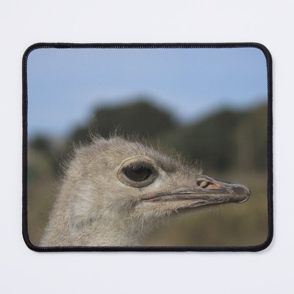 Item preview, Solvang, CA designed and sold by supernova23.