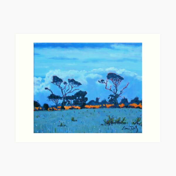 West Cork Trees, Ireland Art Print