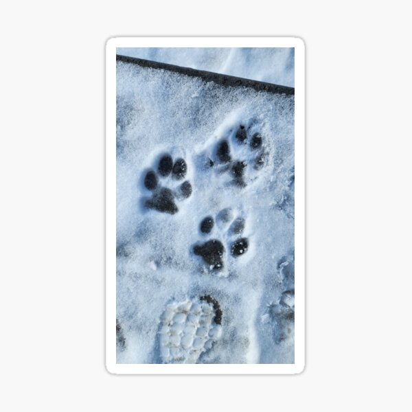 Item preview, Imprint designed and sold by OneDayMade.