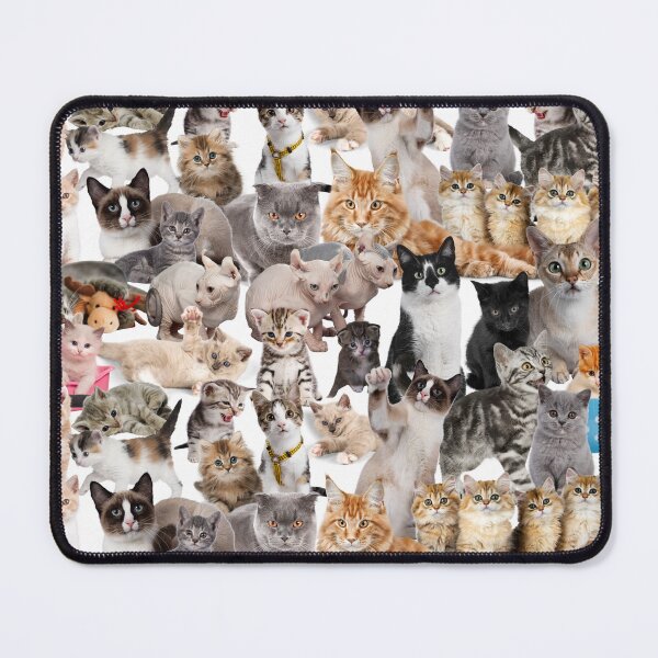 Item preview, Pattern of cute and tender kittens. designed and sold by RUCIOMORO_TSHIRTS_.